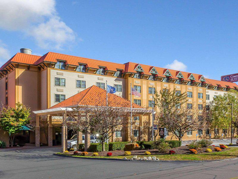 D15A589A81BF3E6F2CABF25D459F995A