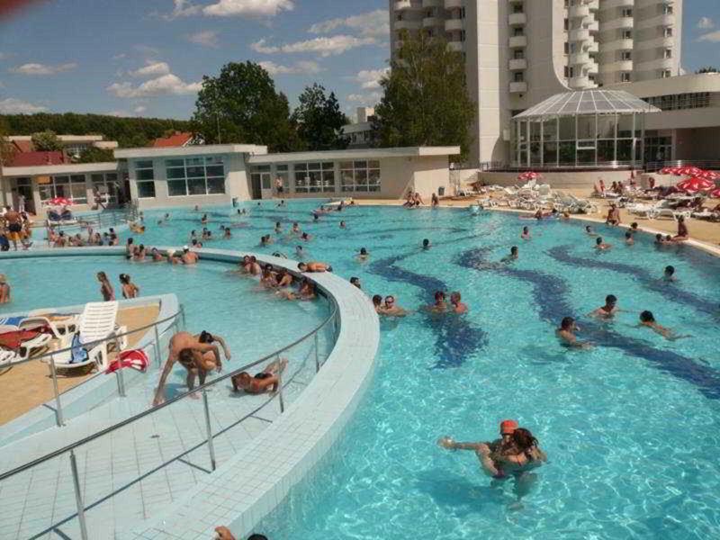 8D6D1E71396A10C2973E58235F622509