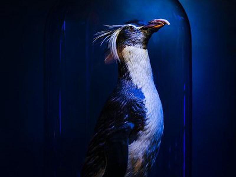 61FAEBD8B06E16C808716B31364B77BA