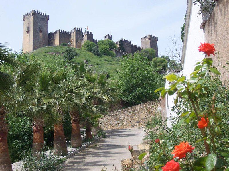 7D43ECAC9674023A0E7AE3B1D75654FC