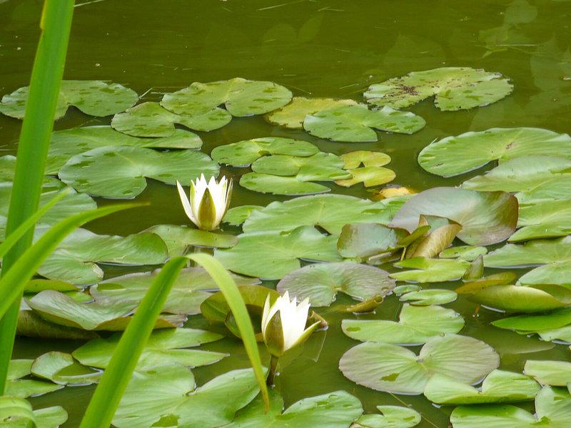 F0CF8DD1E6CAD7EE830C03D0F76CDABC