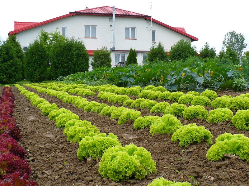 5E717F07D7E7C814EE1781FB52965524