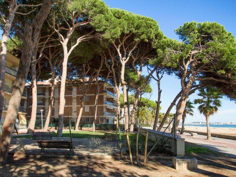 FE90AD96AC50898828CA4C9B037BF832