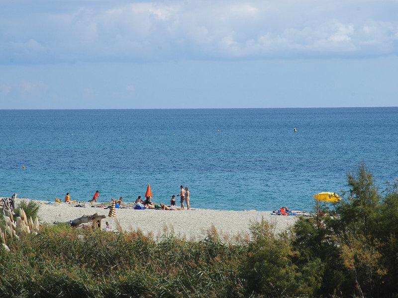 2A1D93672E61C9B028D0CE97AA51F4B2