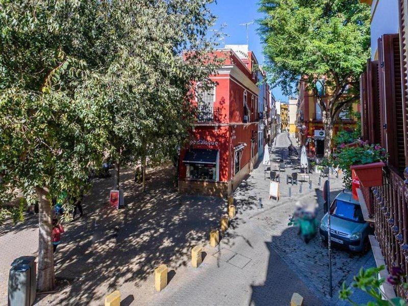 092B83CF2425B09B8344D77C2E5599E9