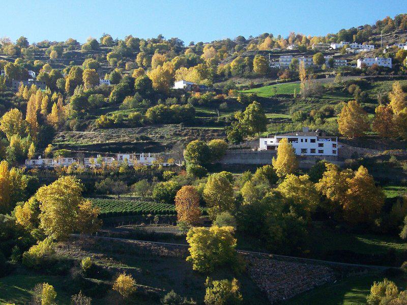 E6A8B48A75DDFD785659BFD0E02420D4