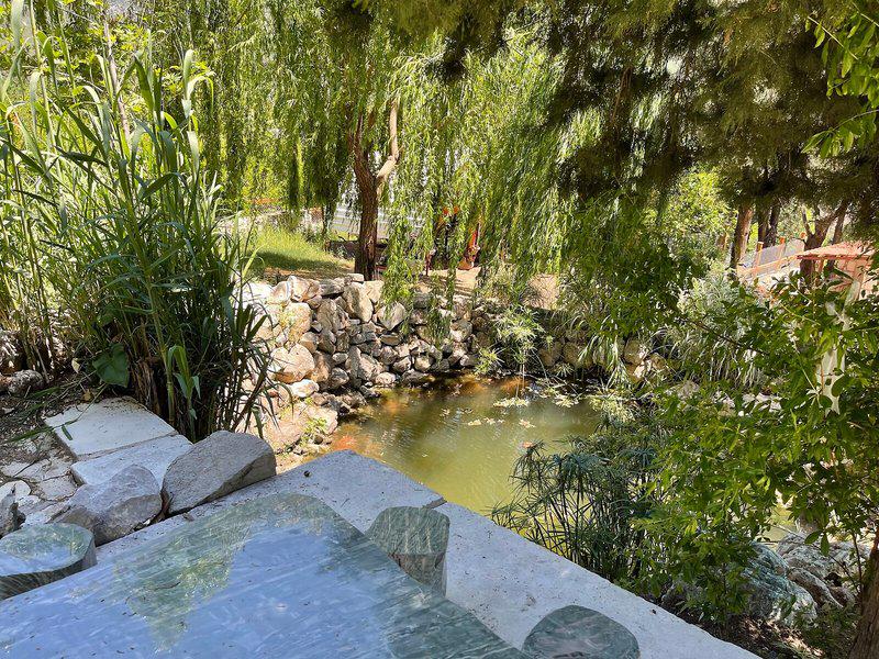 ACED81463C24FD75B5DD1219430AB2AA