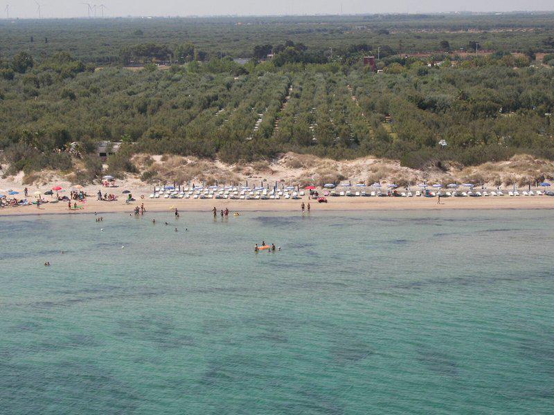 7F4BA6D1DF43E90EB0BC5261B32BD16B