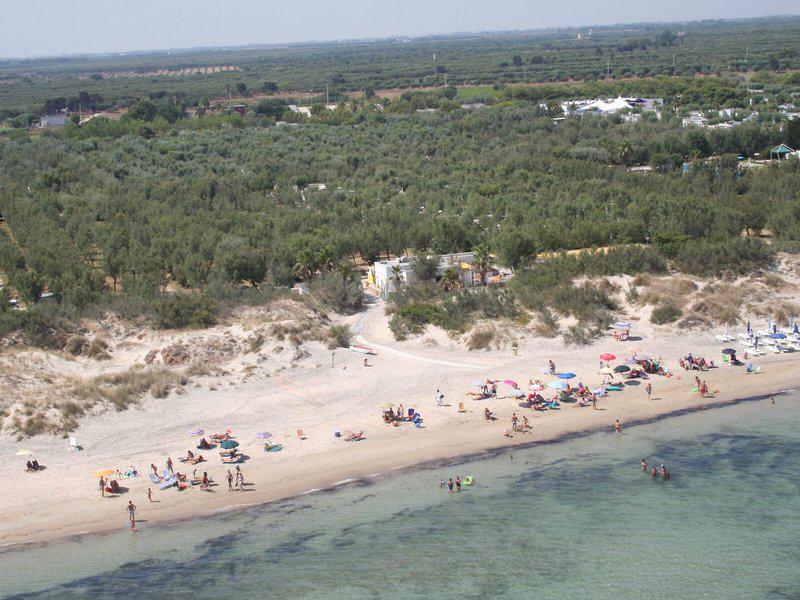 4B9320B266C332D26D2258ACF588D145