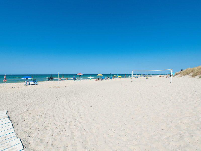 A0FE48AB6158C8CF2B41A4F85E0F260A