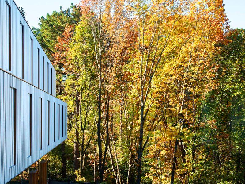 E7B872E9E9515179D4452BEF9E22FF72