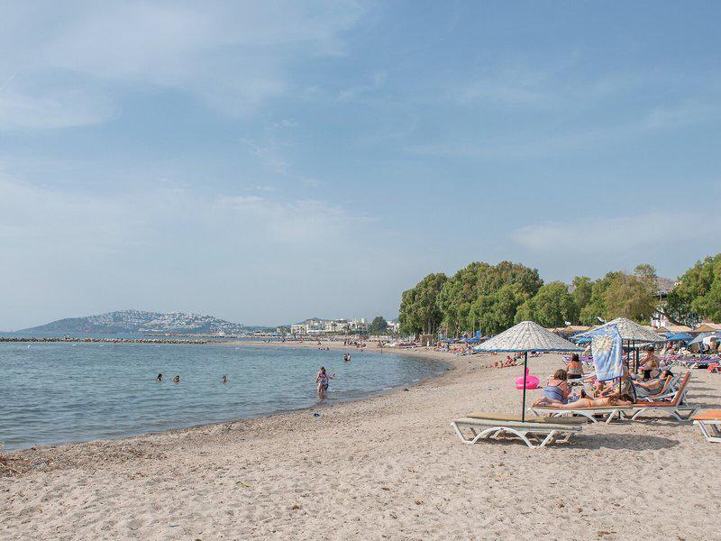 C90B59E2F4F9BDA631E922244A715361