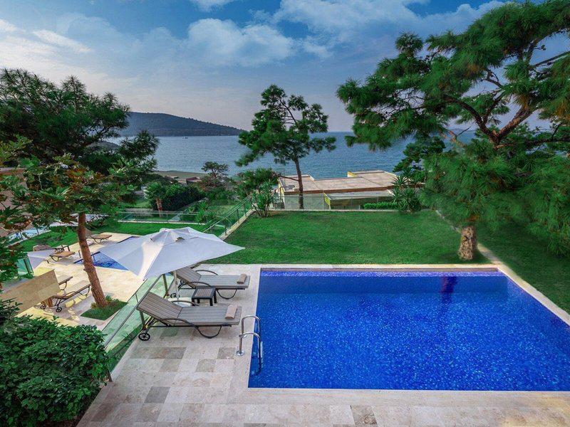 E6288DE81E2CD19F46069BB1CC2A8651