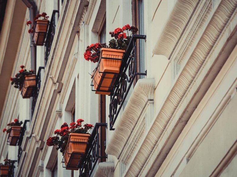 BD95582478DB2EFB21C4C4DCCAC1CE35