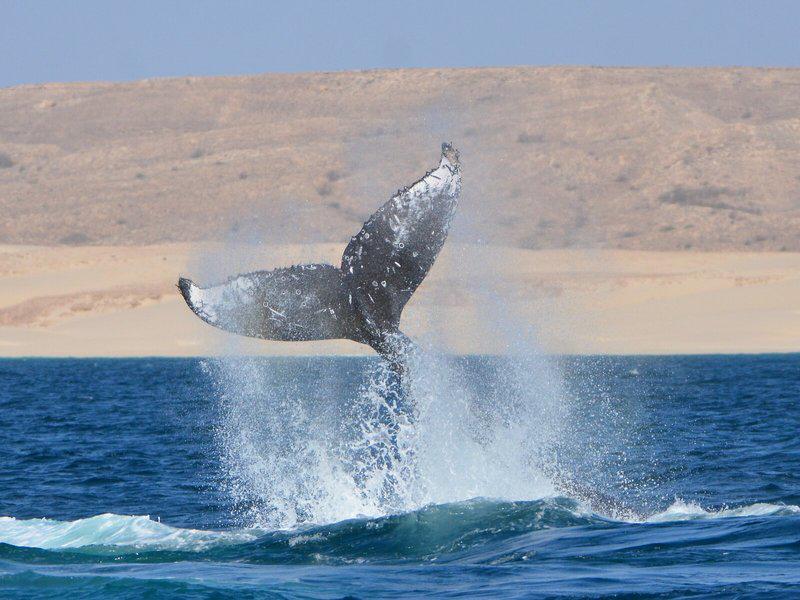 87F7D22D66D3E58118CDE34E6DAECF16