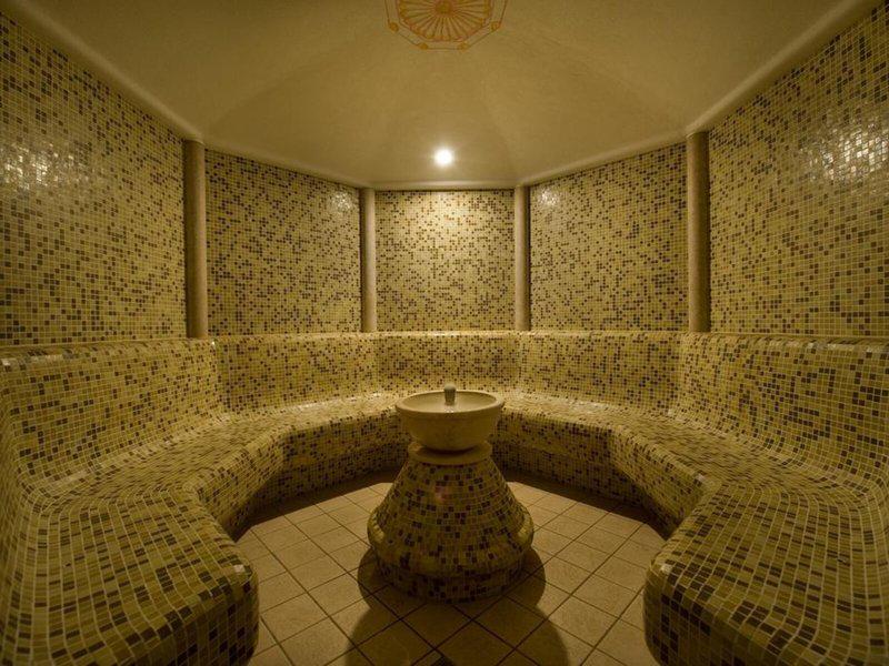 337491D8DD0F8C4FFEB146F1D9F5CA69