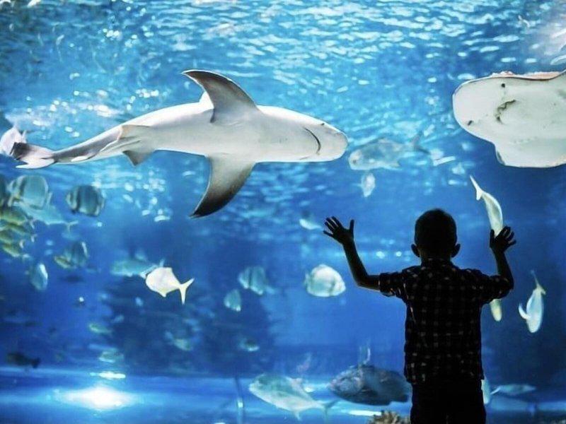 538546C4EDB4E48E92818548BC9A7835