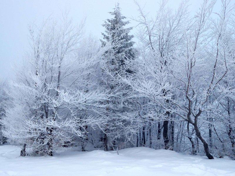 840C04901D2E018D924FD3A4CC439F4B