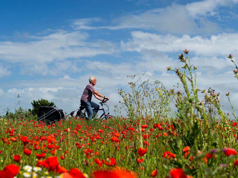 634DAD3AEF1C447A811430F3470D72BE