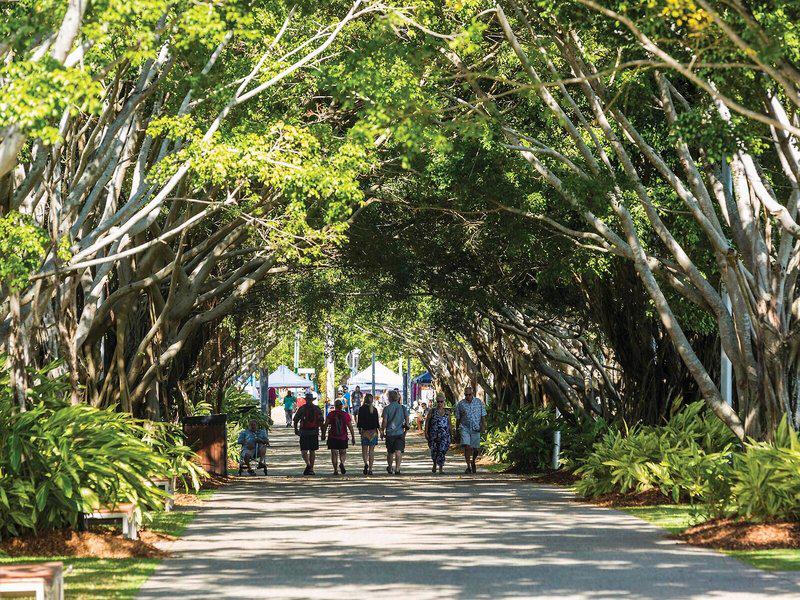 8CB9417B1BEB545A0147896BFDA160C5