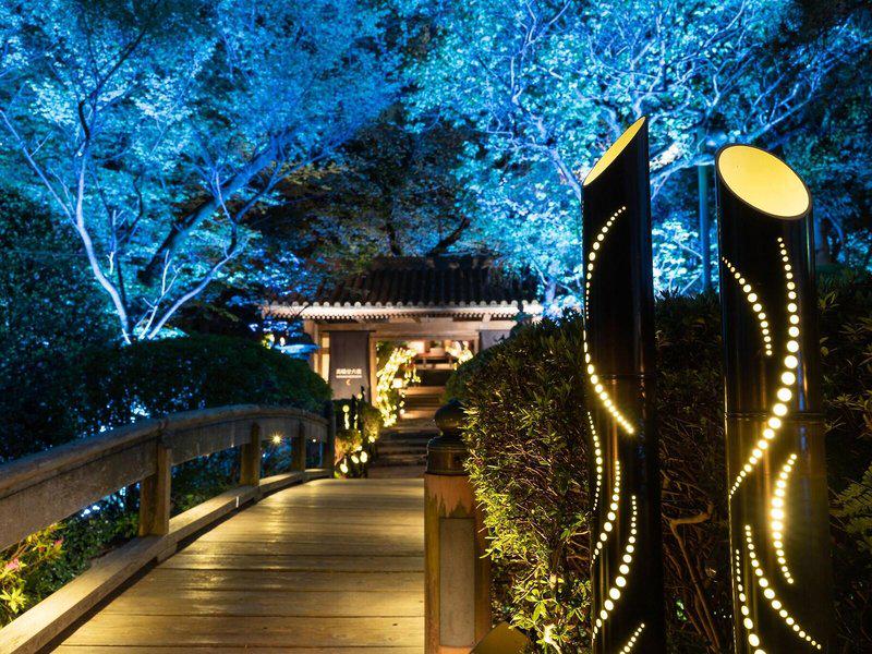 155BDDFDAE09F1E52AA3BF07A4B52ADD