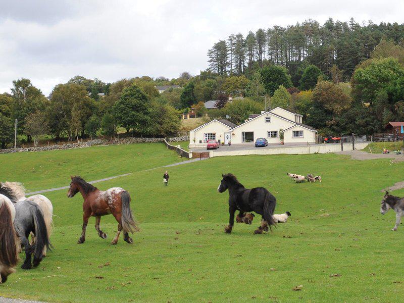 9DA68061BFFB9105A6CD61E6E23F494E