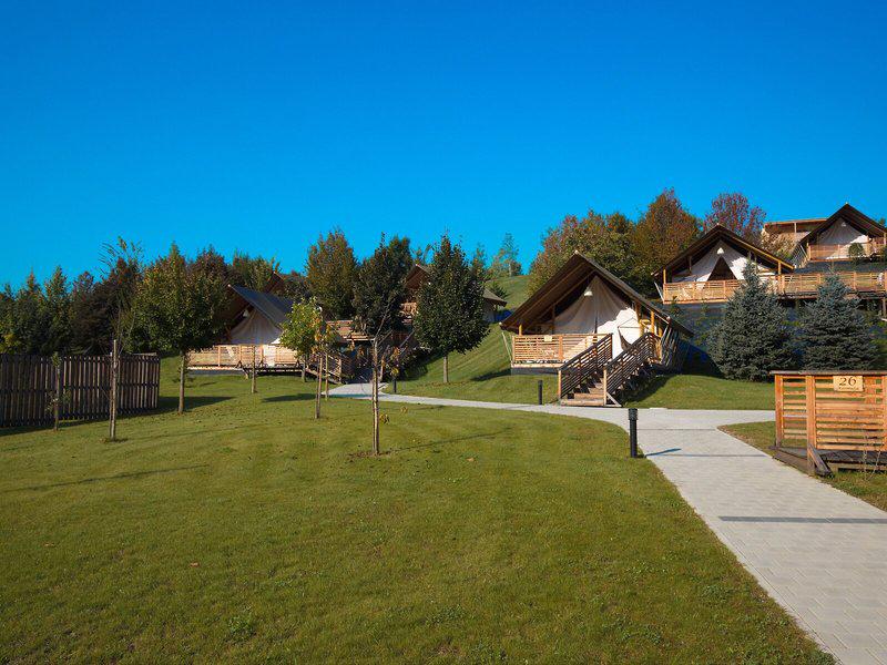 8330EAD438F4358F994C7F423AD350B0