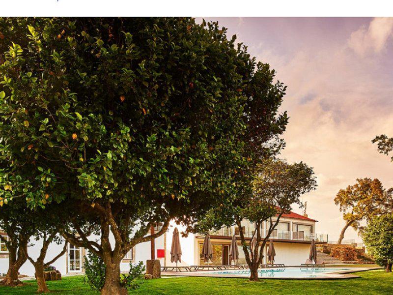 021E4F3109FE16AAE519FC71A470C030