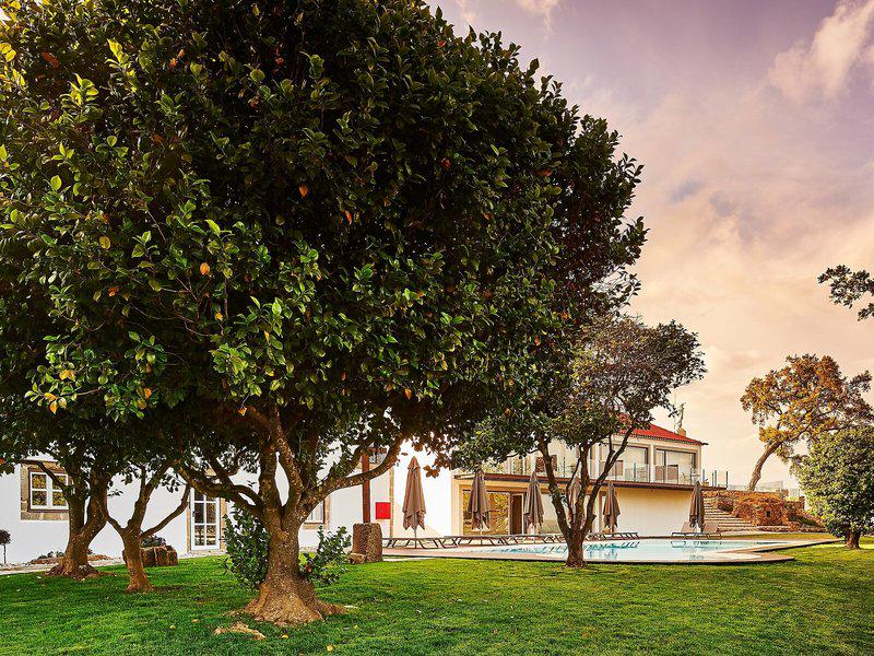 DB42CDDC80B43E816DDA59A3B3AADA27