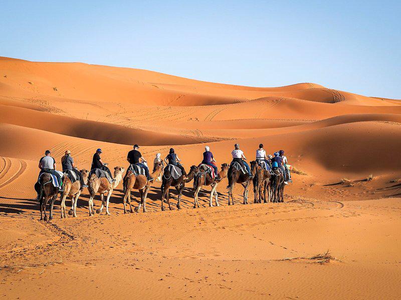 69CFD478128D535C6B38DCF12501D7D2