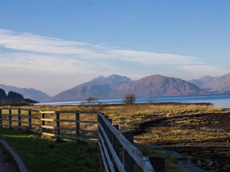 789135A78954BC295B4E53976361089D