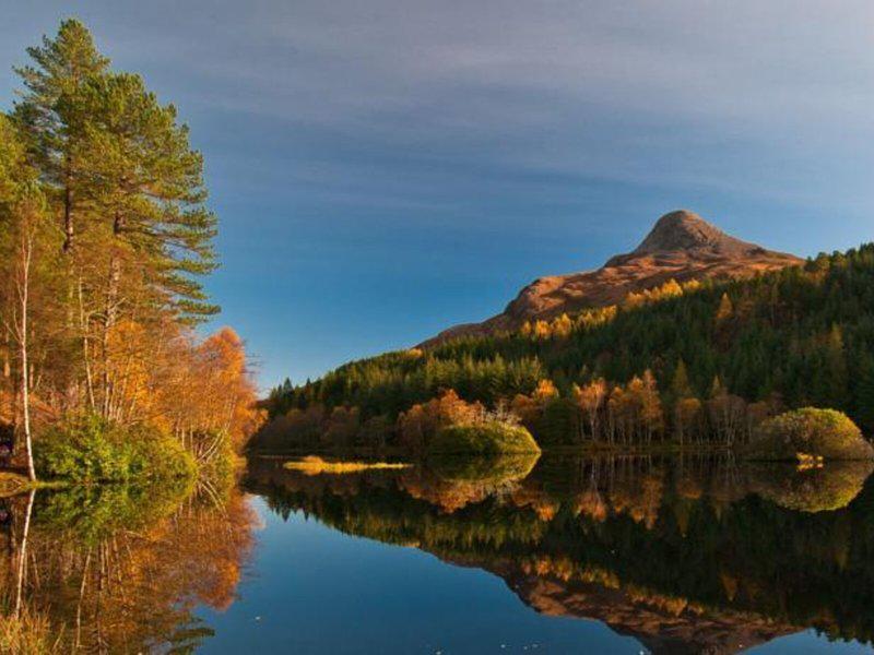 390C0A585CD63DE831B65189D1E1B0A5