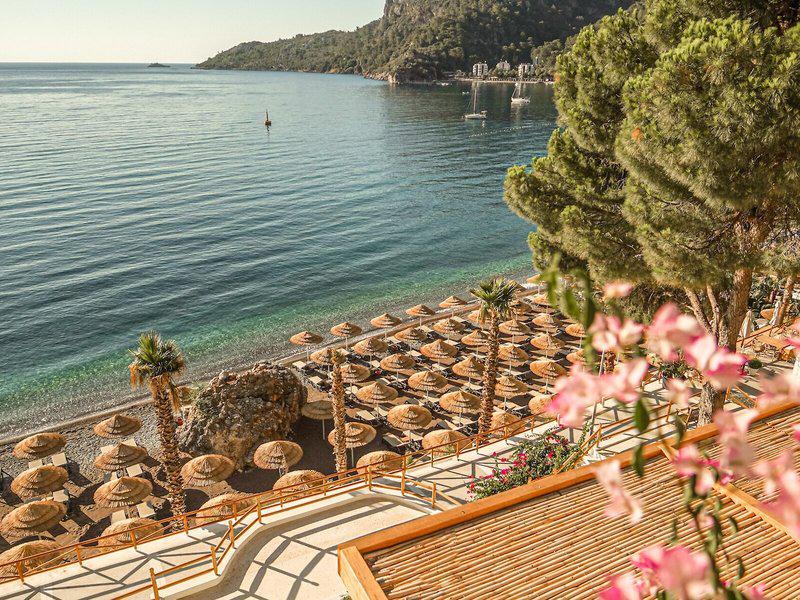 68209434ED86FE77E617498F5A035856