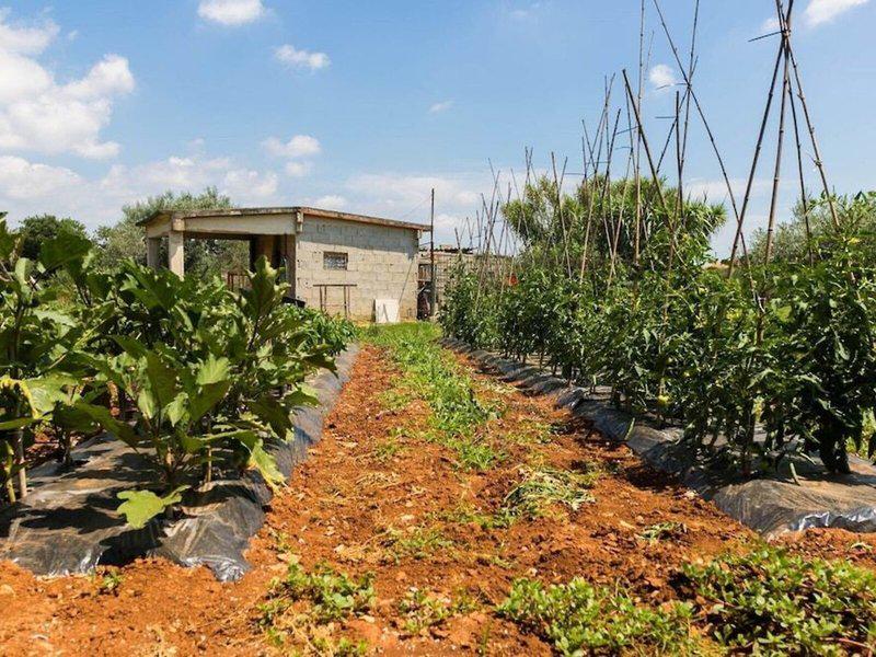 7507567FDB644A9FDC39592B7F0B57D9