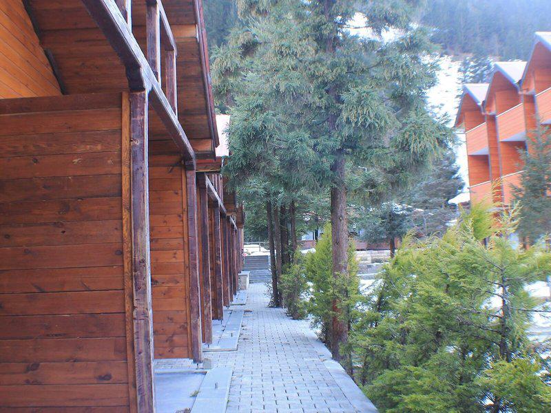 39881168E823C0CE4CB516FB917ECF26