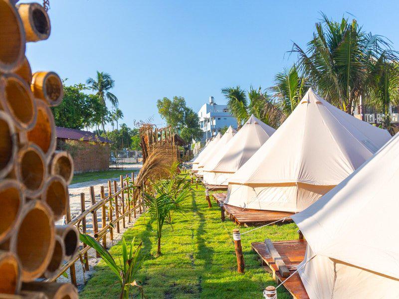 77B73FE86D02DC4A1E362742D7BCBC4A