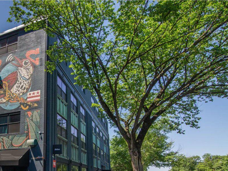 5388311AF7AD10EF9134832BC757C371