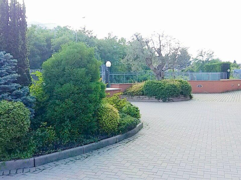 9590135519F25C12DFC78B98DA94B069