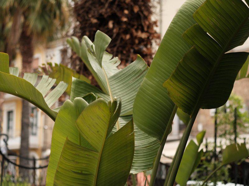 33E6E484DF8AA98021E86D3BB028B7CD