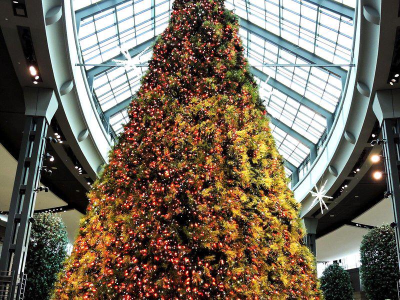 DD2BBB3D786FFA95A30AF4728B6F8680