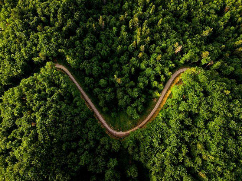 FCC8DB309A2836C9BCB964728DFE0FAA