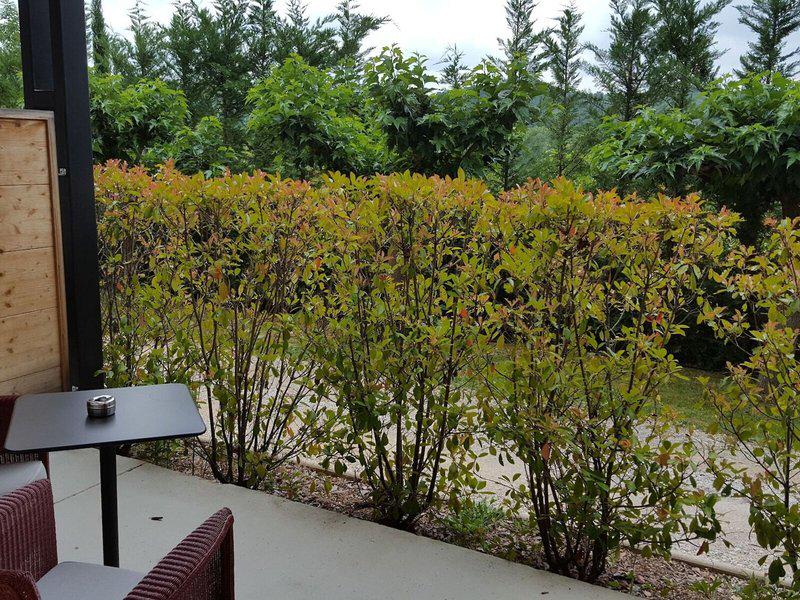 C4245F21B118D492C1A722C44C2A45CB