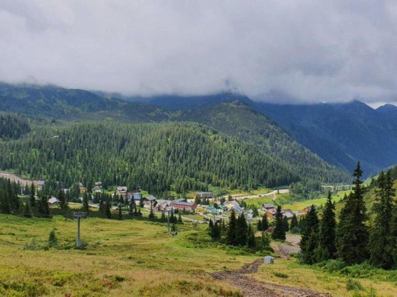 5B32DECF309378D98862F58BC4656003