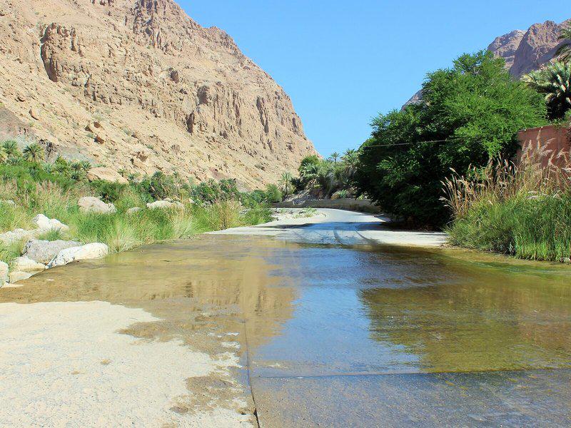 9DA4F28418261F2509A558D3083B6AB8