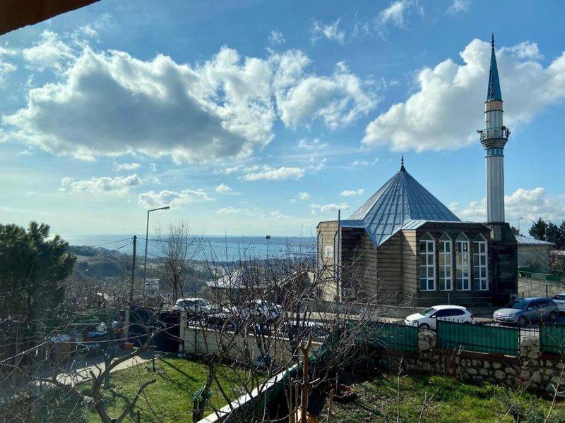 36D477CD9E84A4C4AC0C9B66AE542554