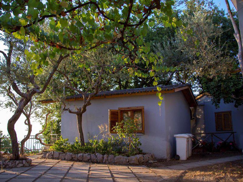 5C5D64E938B78911E3549478A7D0AB02