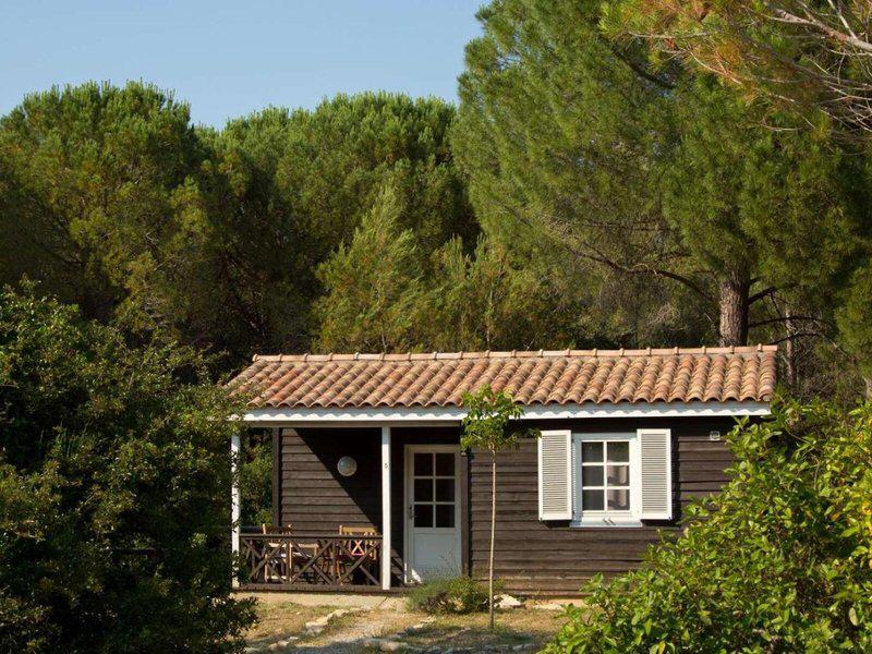 3F6F85C15ABC703D61AEAF5B424E9898