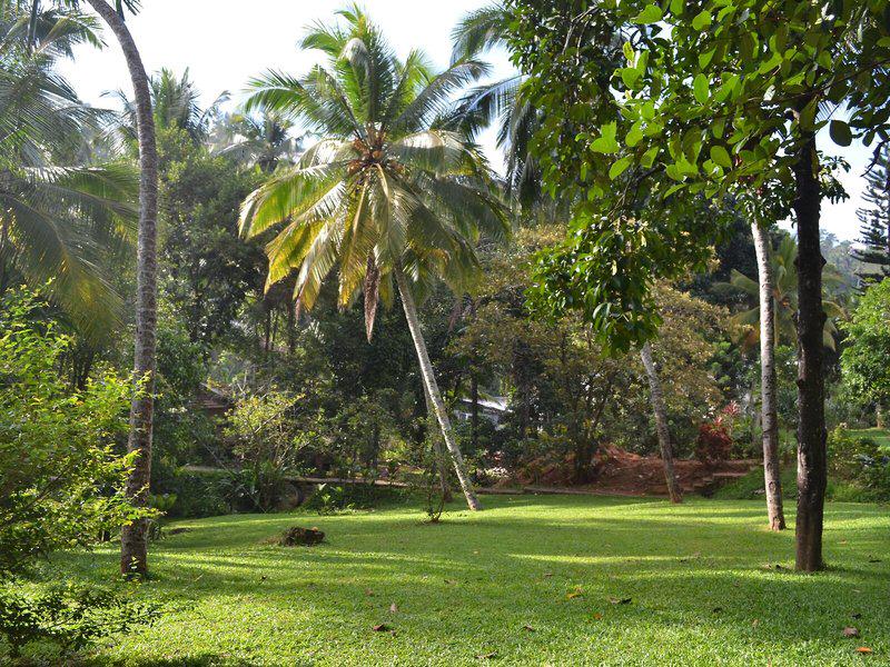 8904727E6CF52D590B89707A7F426264