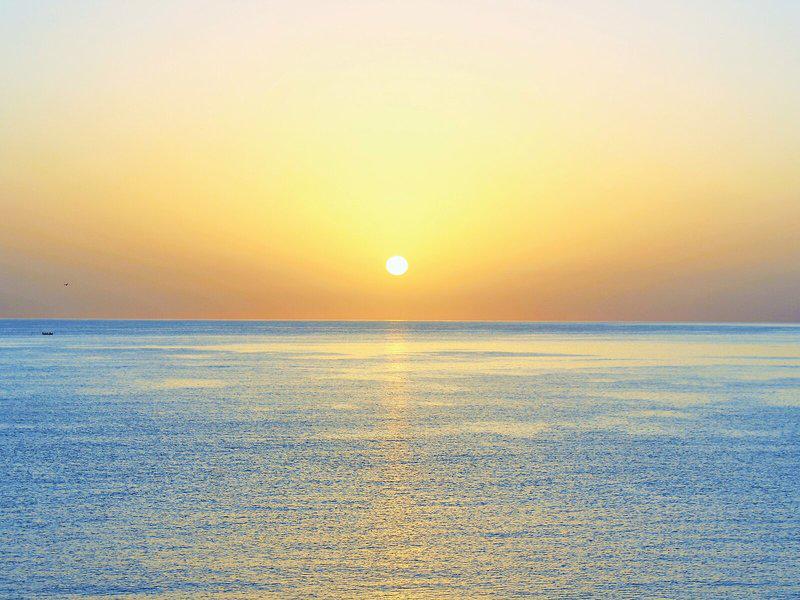 A4639F2490D4E0A9A43EF55FD3379E30