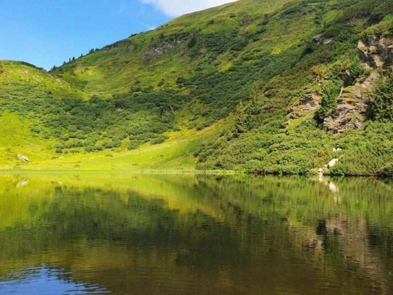 7872F64A86A7AF7F95E6A89DE21D69BB